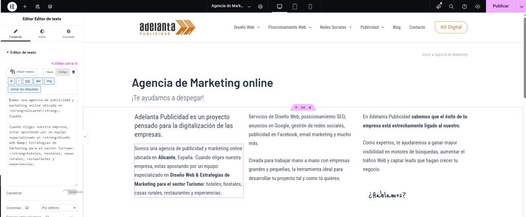 Ejemplo de pestaña codigo en Elmentor desde donde puedes insertar el código schema